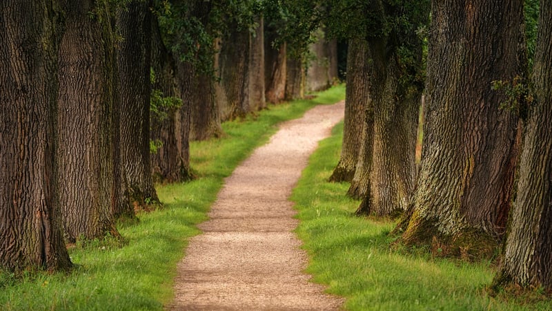 Hiking trail